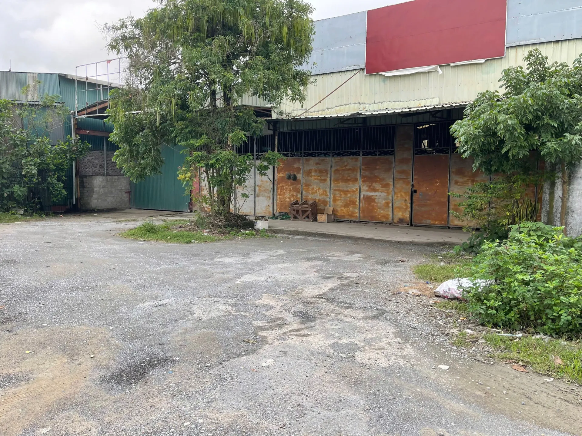 Hình ảnh 1