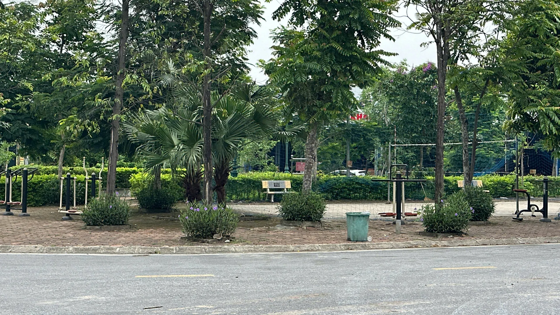 Hình ảnh 6