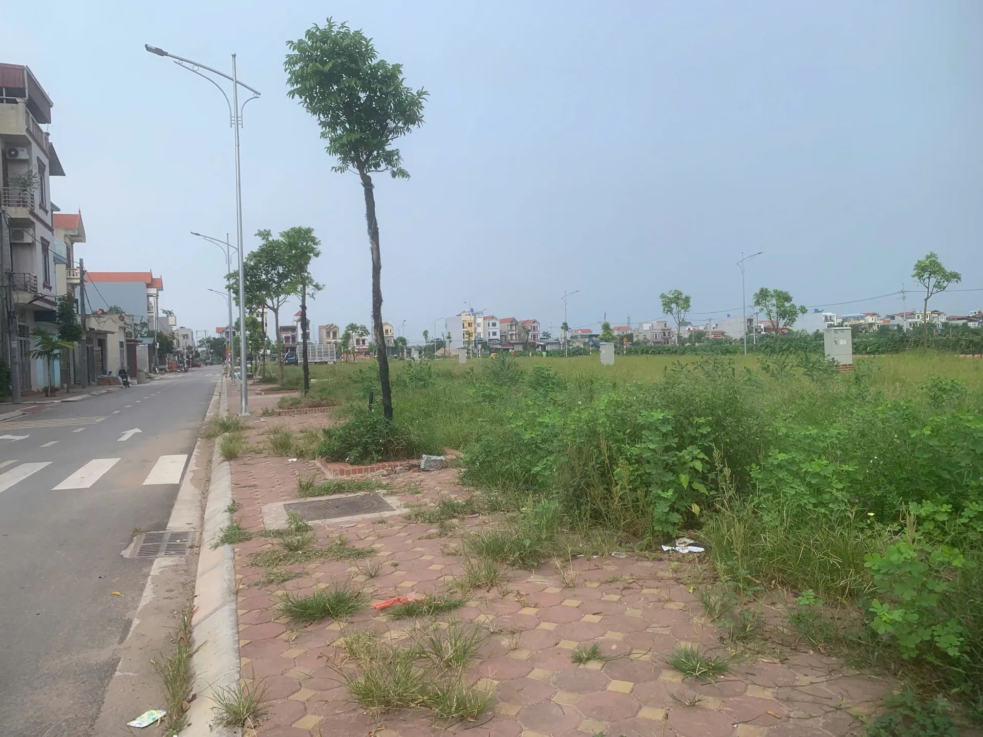 Hình ảnh 1