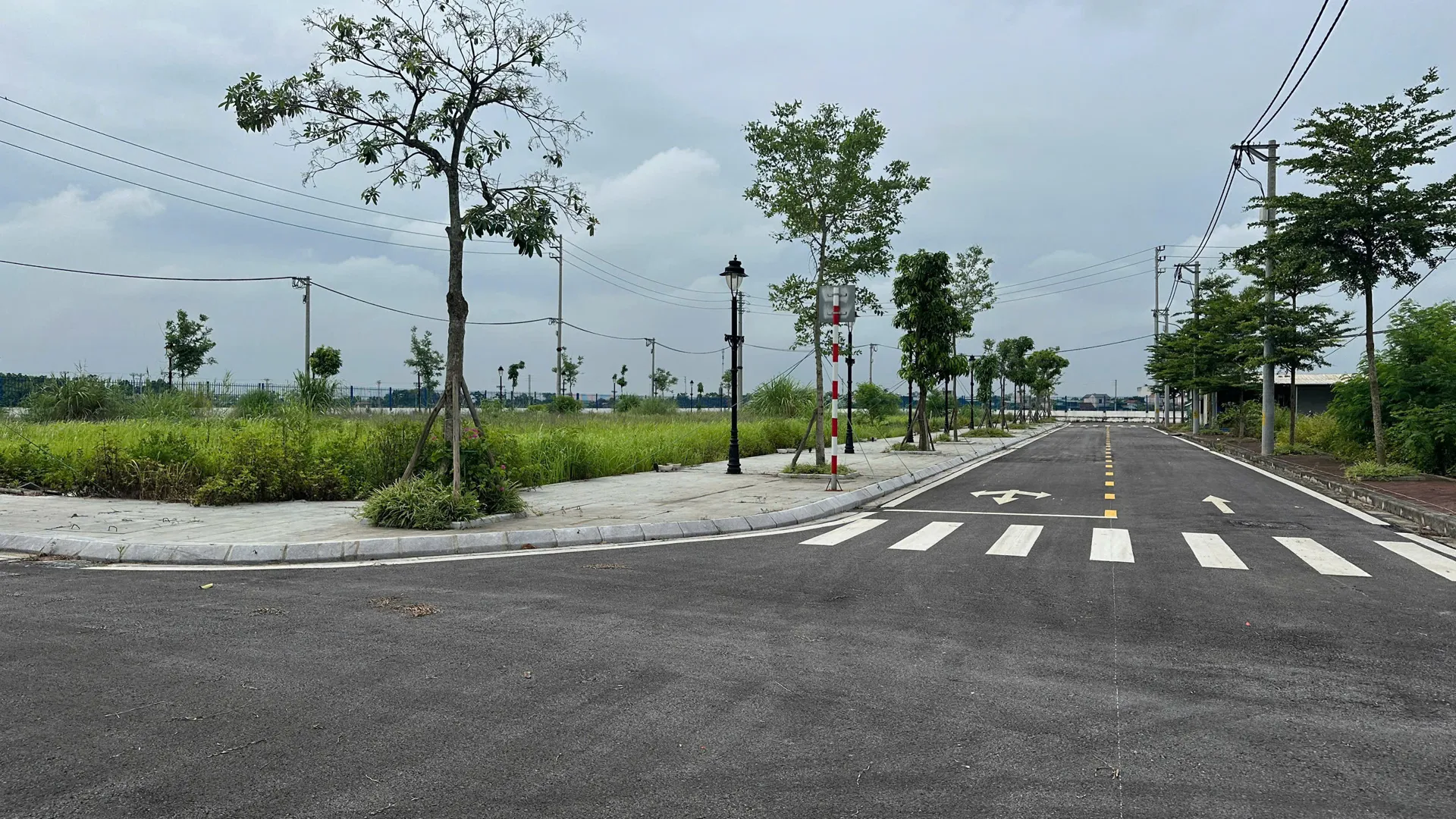 Hình ảnh 2