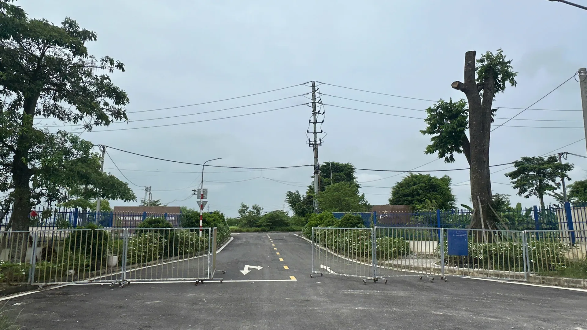 Hình ảnh 1