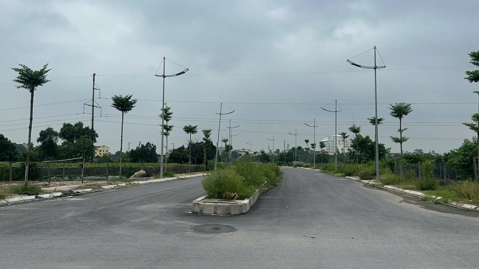 Hình ảnh 4