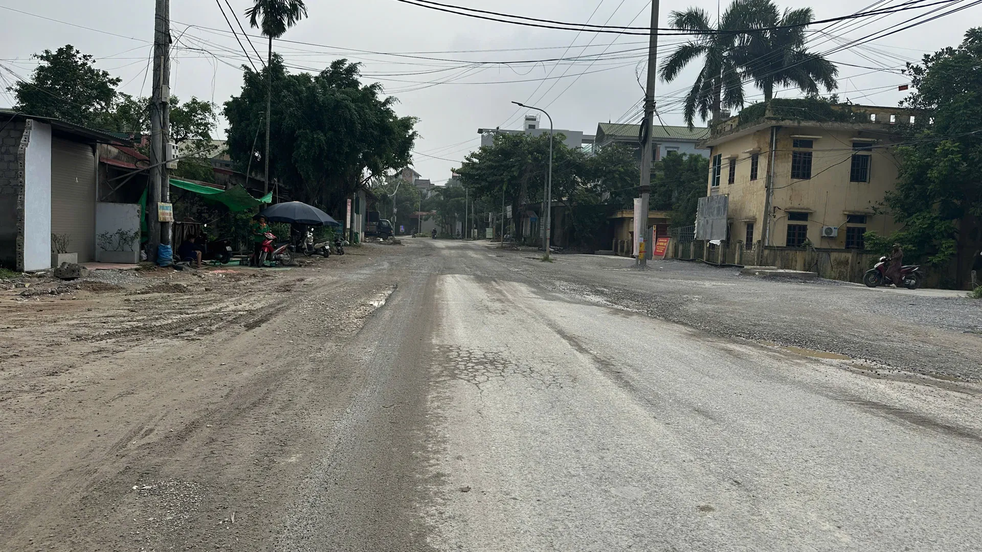 Hình ảnh 2