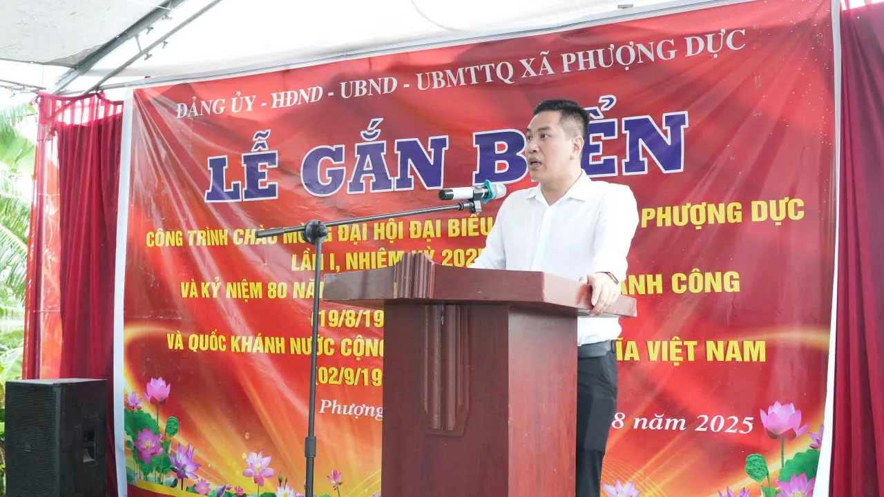 Hình ảnh 2