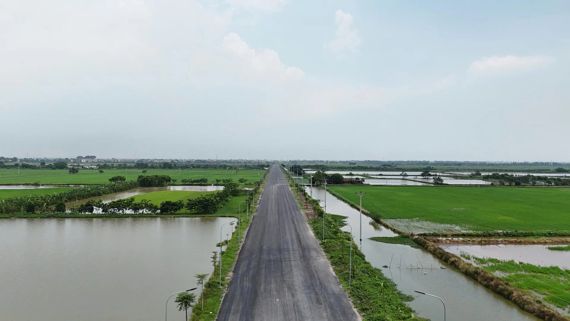 Hình ảnh 4