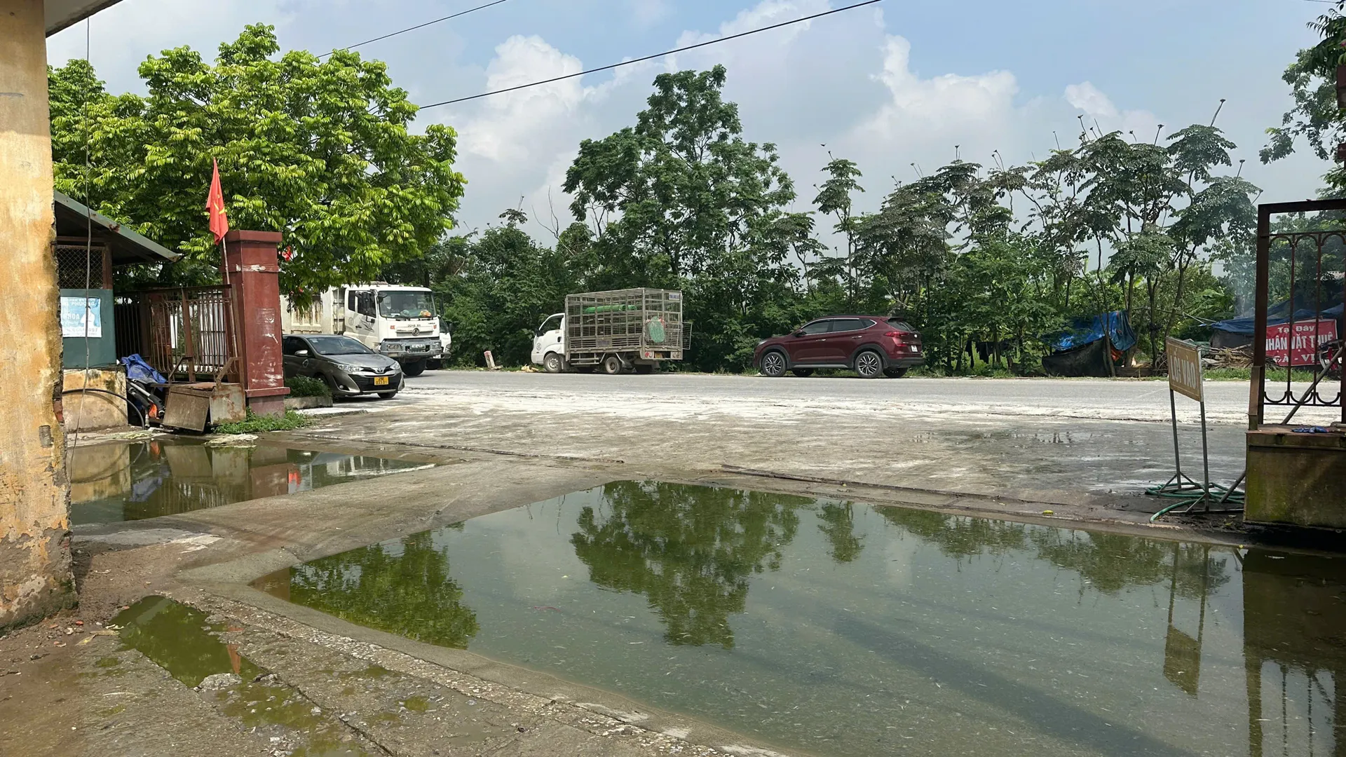Hình ảnh 6
