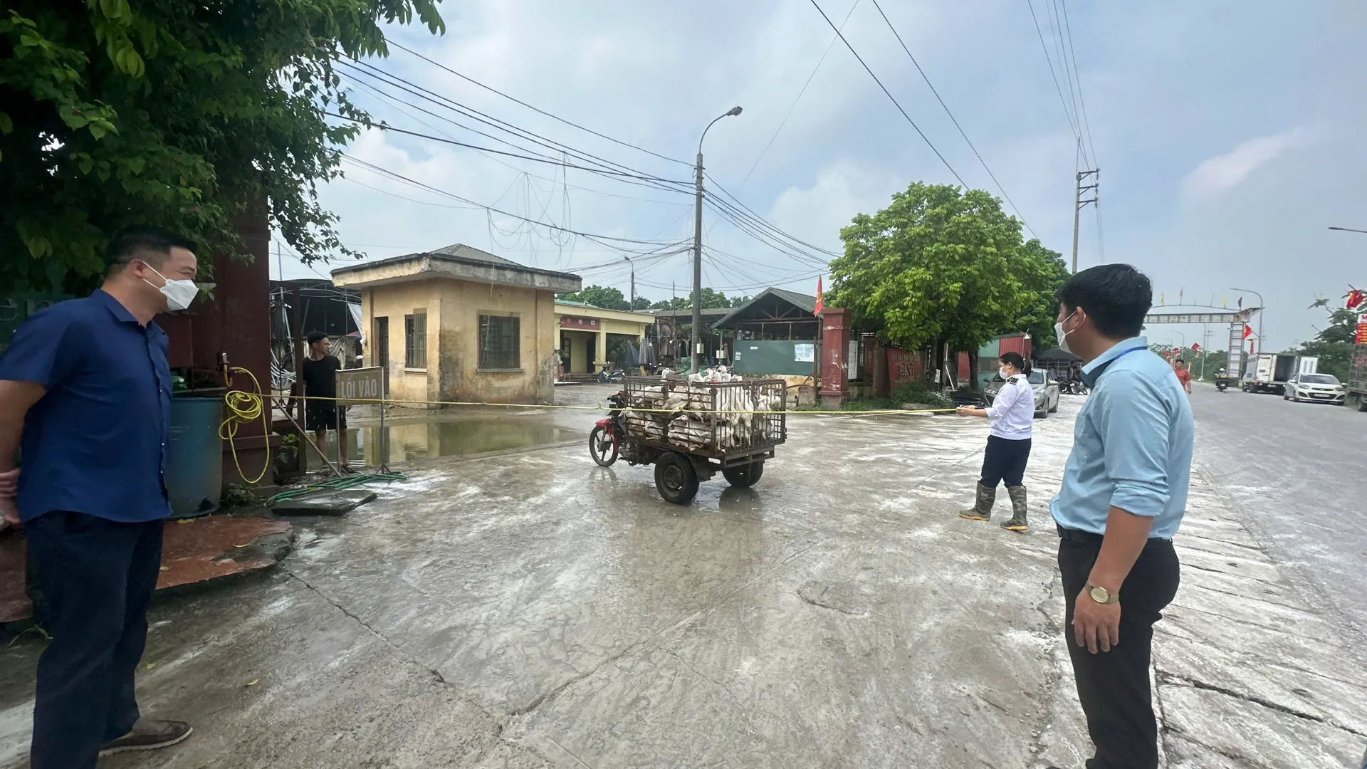 Hình ảnh 4