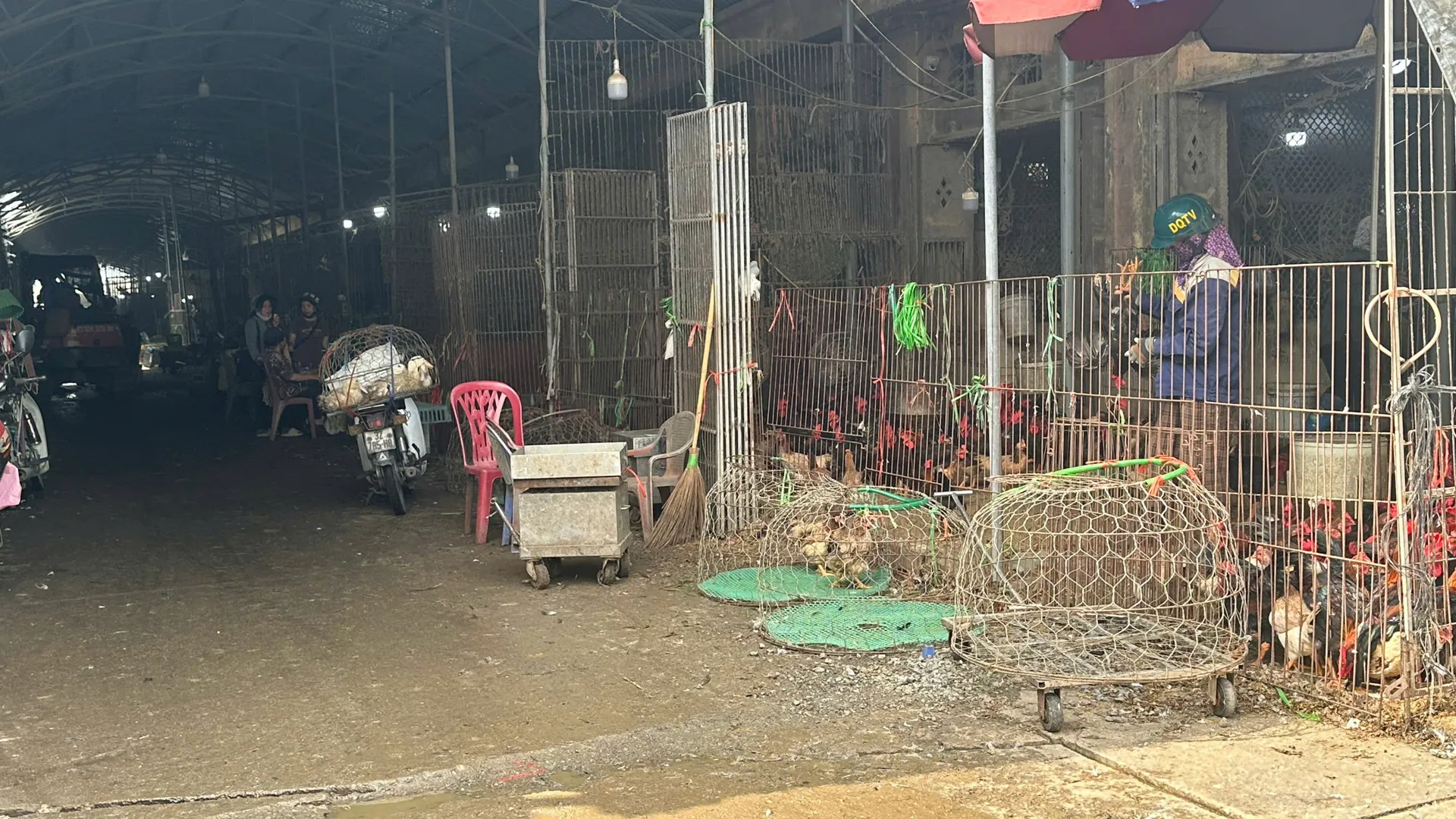 Hình ảnh 5