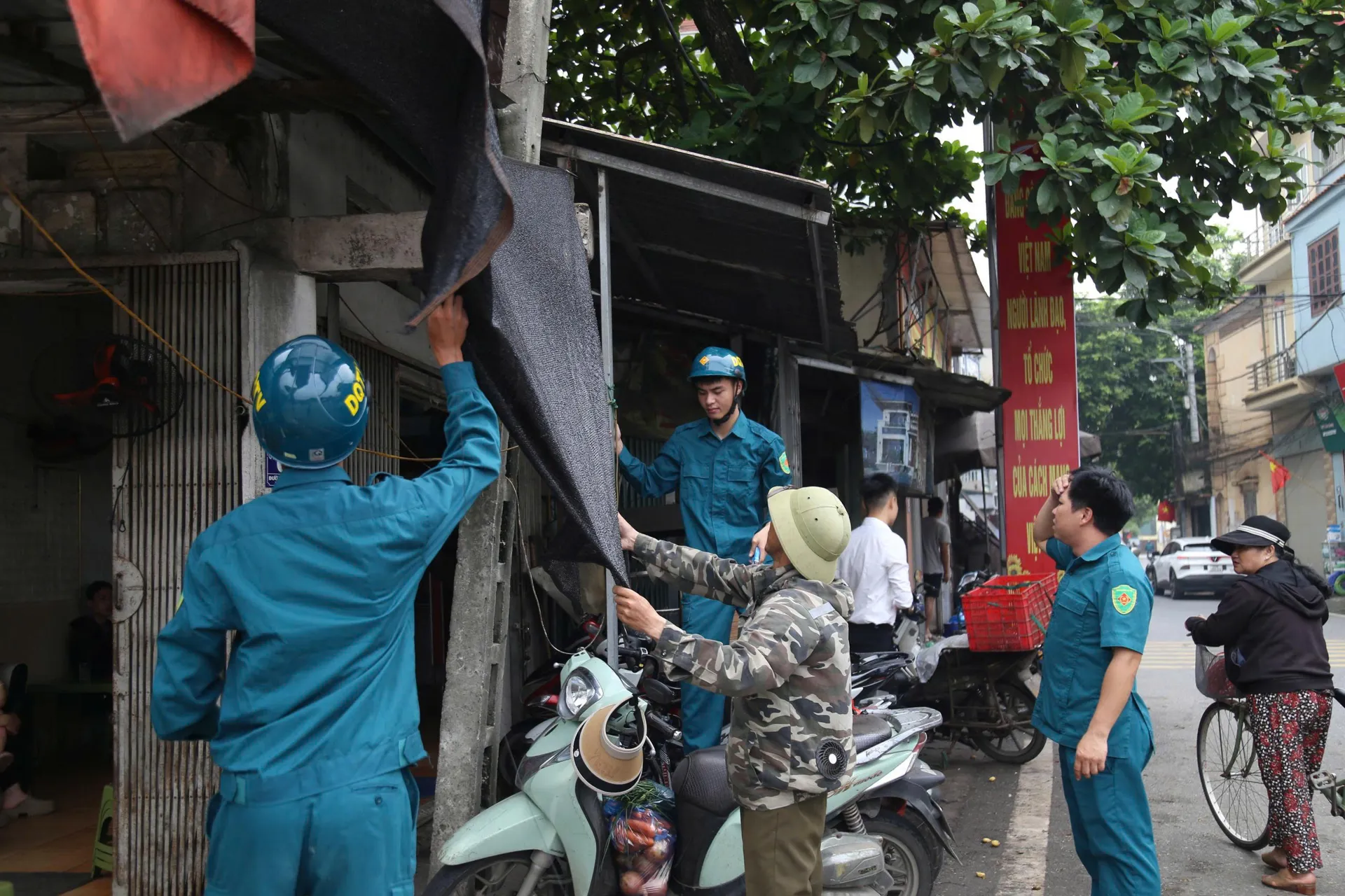 Hình ảnh 5
