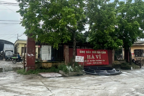 Xã Chương Dương đưa hoạt động tại chợ đầu mối gia cầm Hà Vĩ vào nề nếp