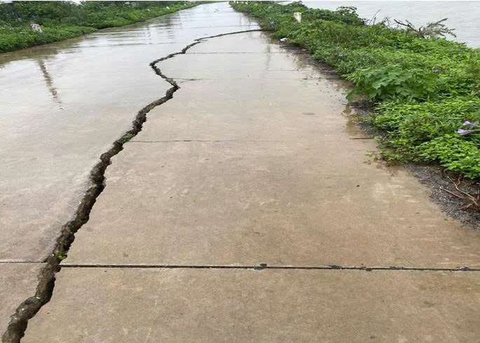 Hàng loạt tuyến đê sông Nhuệ và sông Duy Tiên qua xã Chuyên Mỹ đang bị sạt trượt, nứt gãy