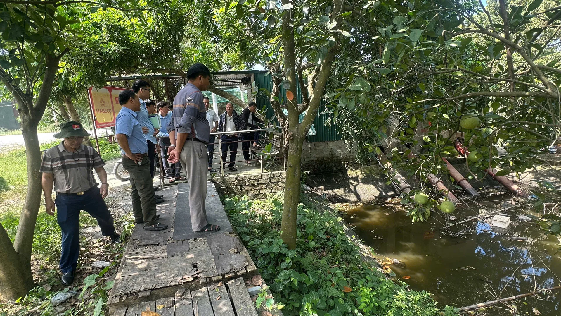 Hình ảnh 4