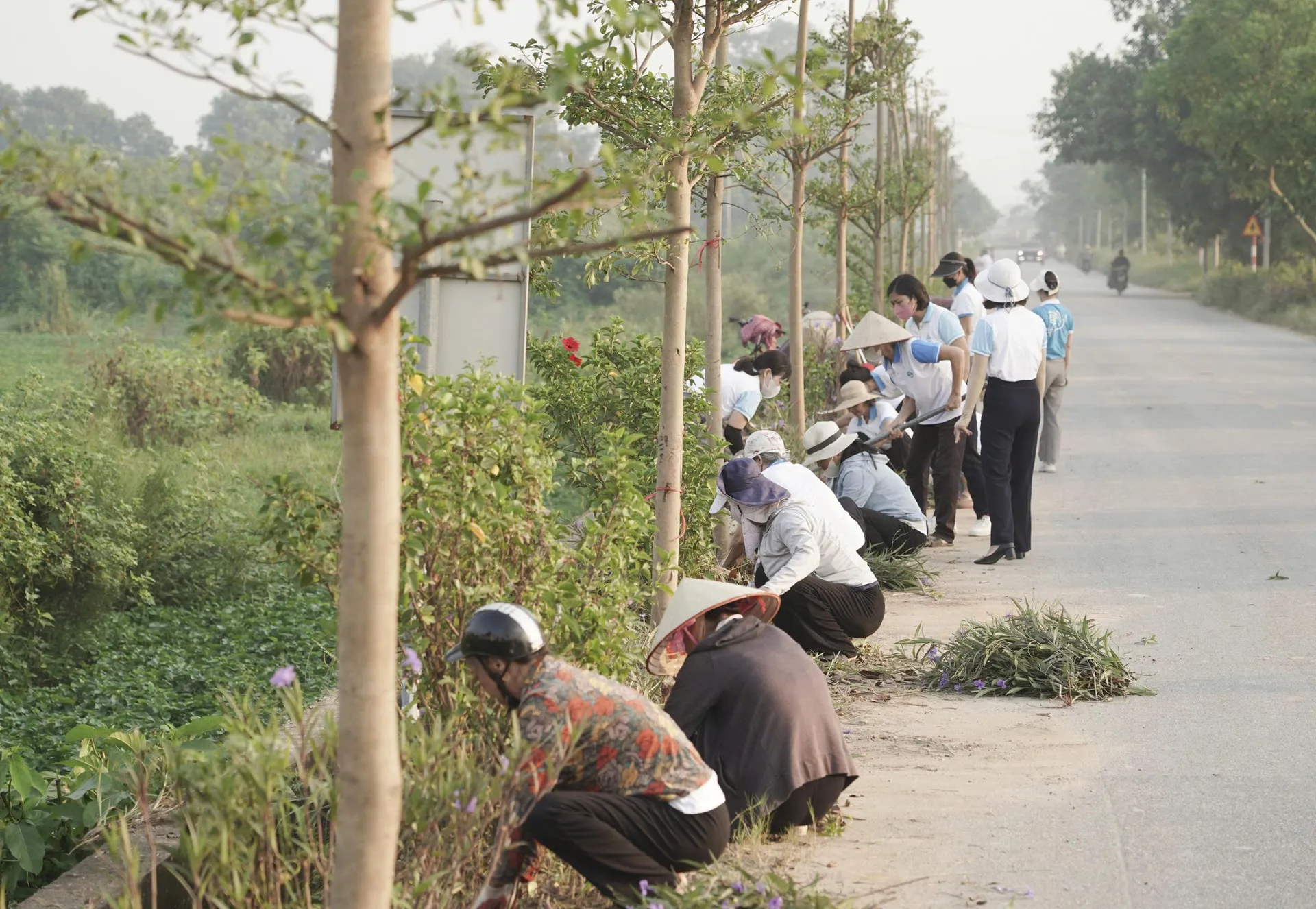 Hình ảnh 3