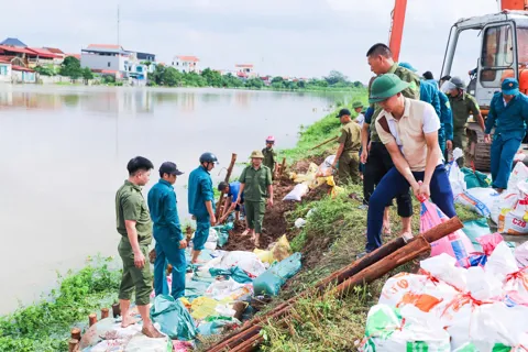 Thượng Phúc: khắc phục sự cố đê sông Nhuệ, bảo đảm an toàn cho Nhân dân

