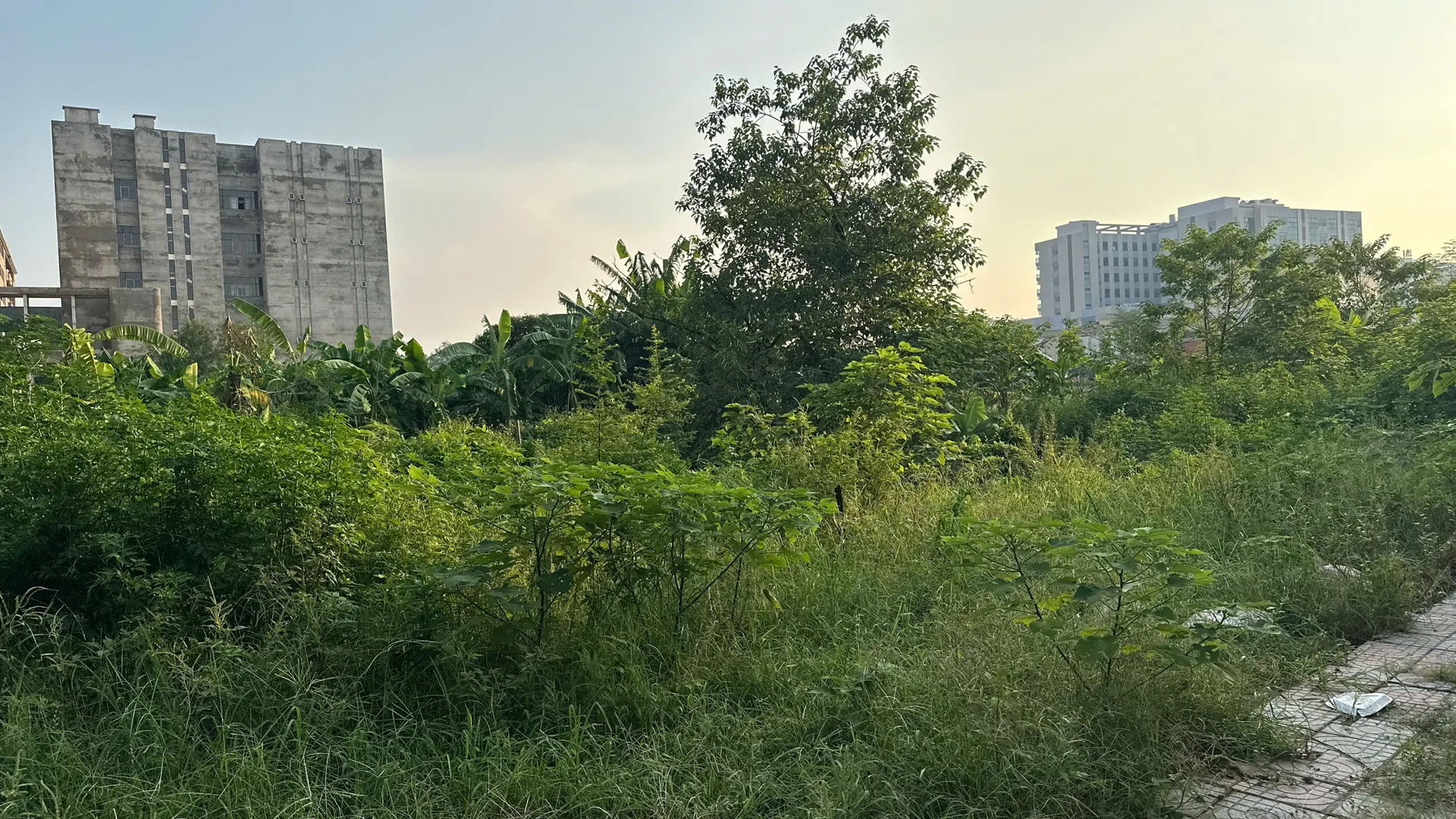 Hình ảnh 2