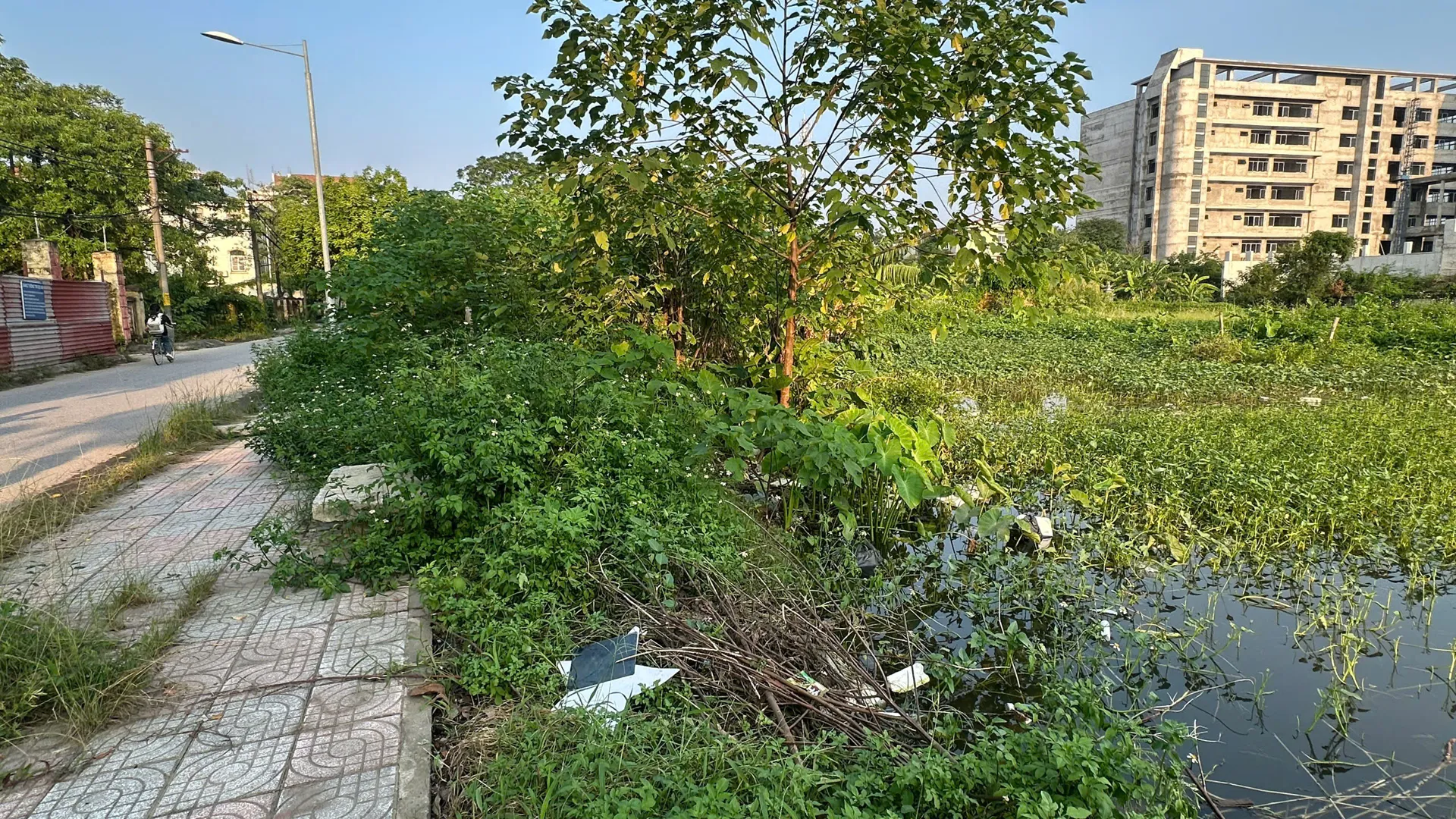 Hình ảnh 1