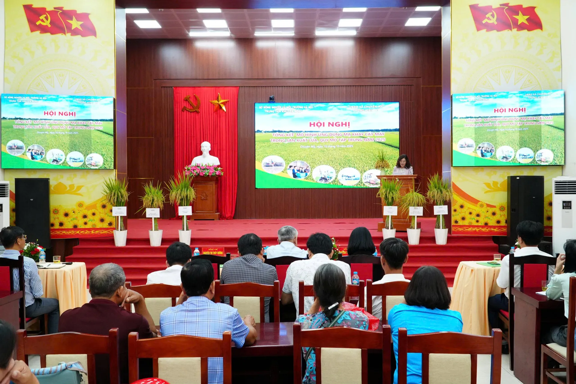Hình ảnh 3