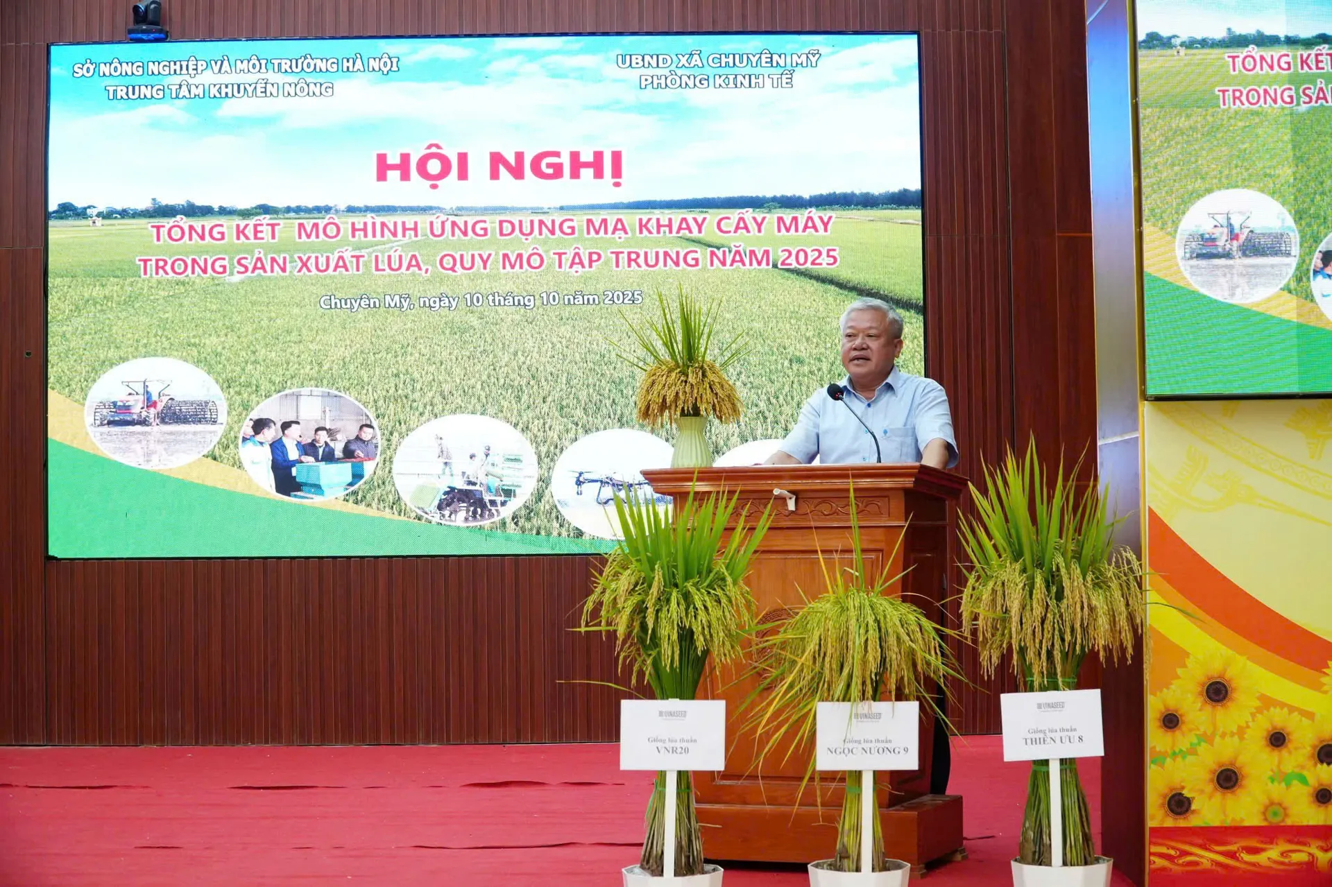 Hình ảnh 2