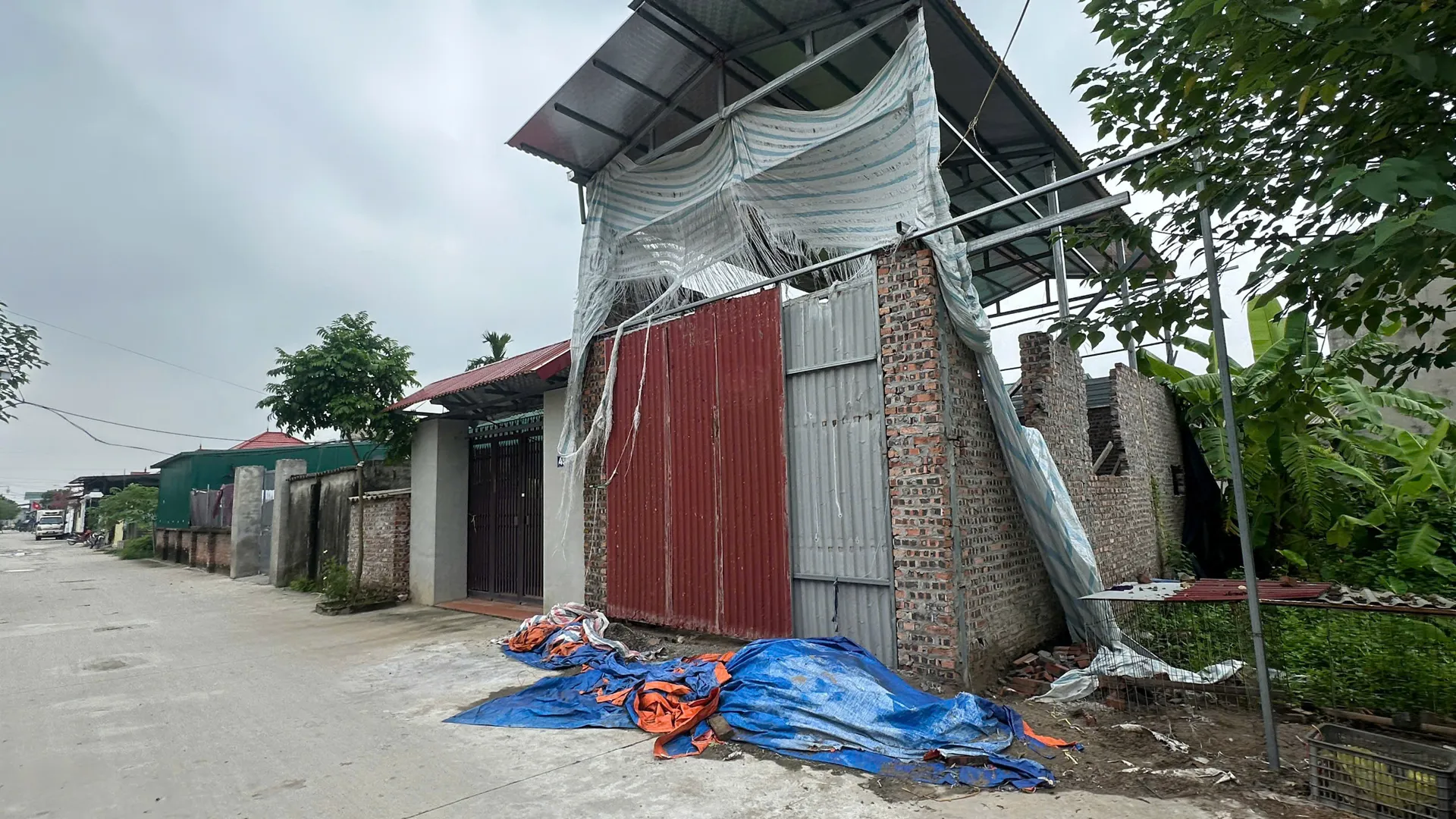Hình ảnh 3