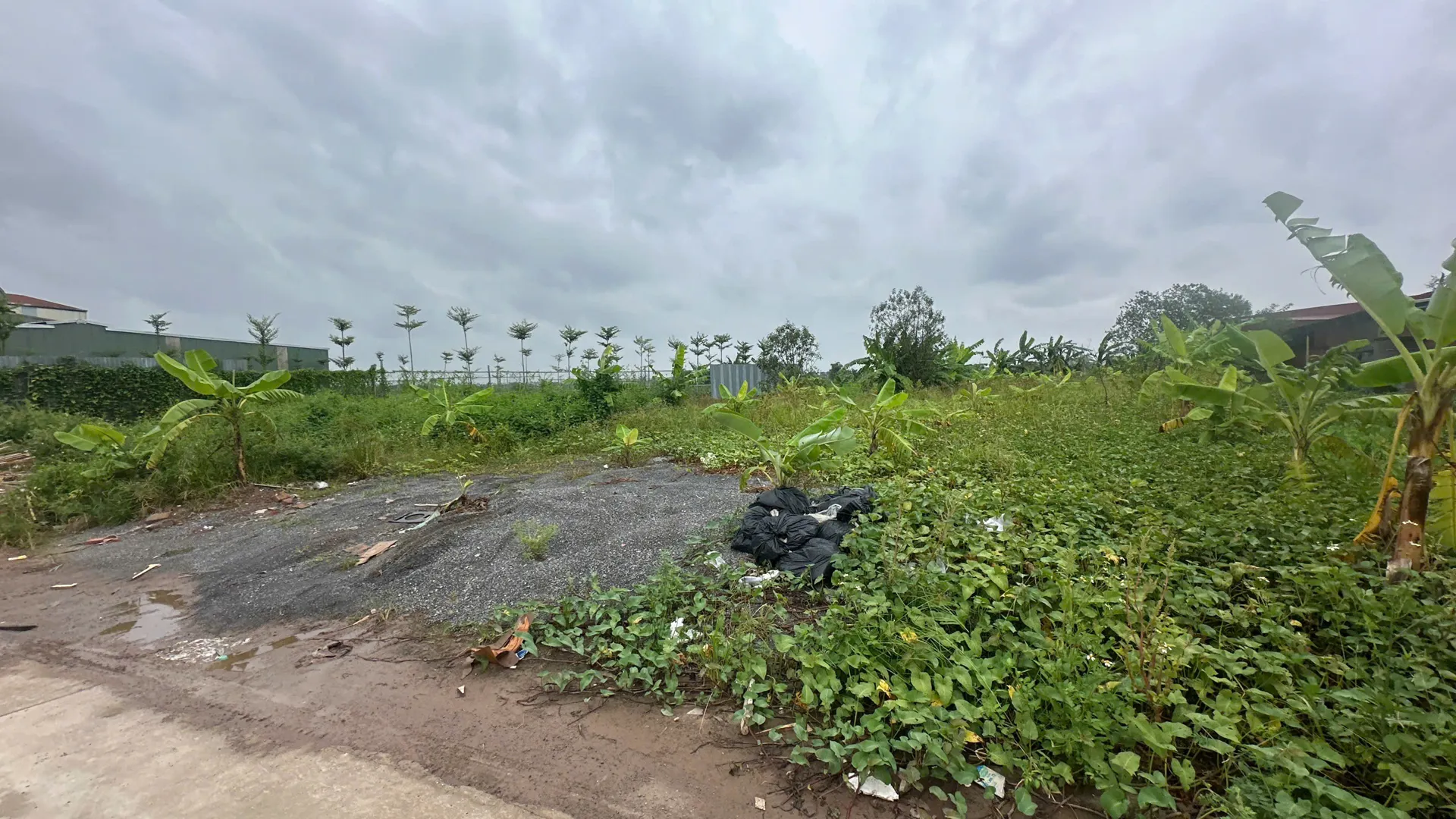 Hình ảnh 1