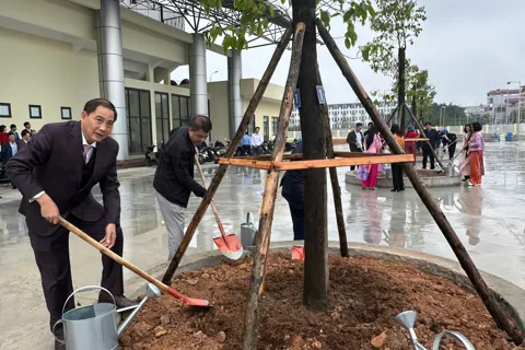 Xã Thường Tín sẽ trồng hơn 5.000 cây xanh trong năm 2026