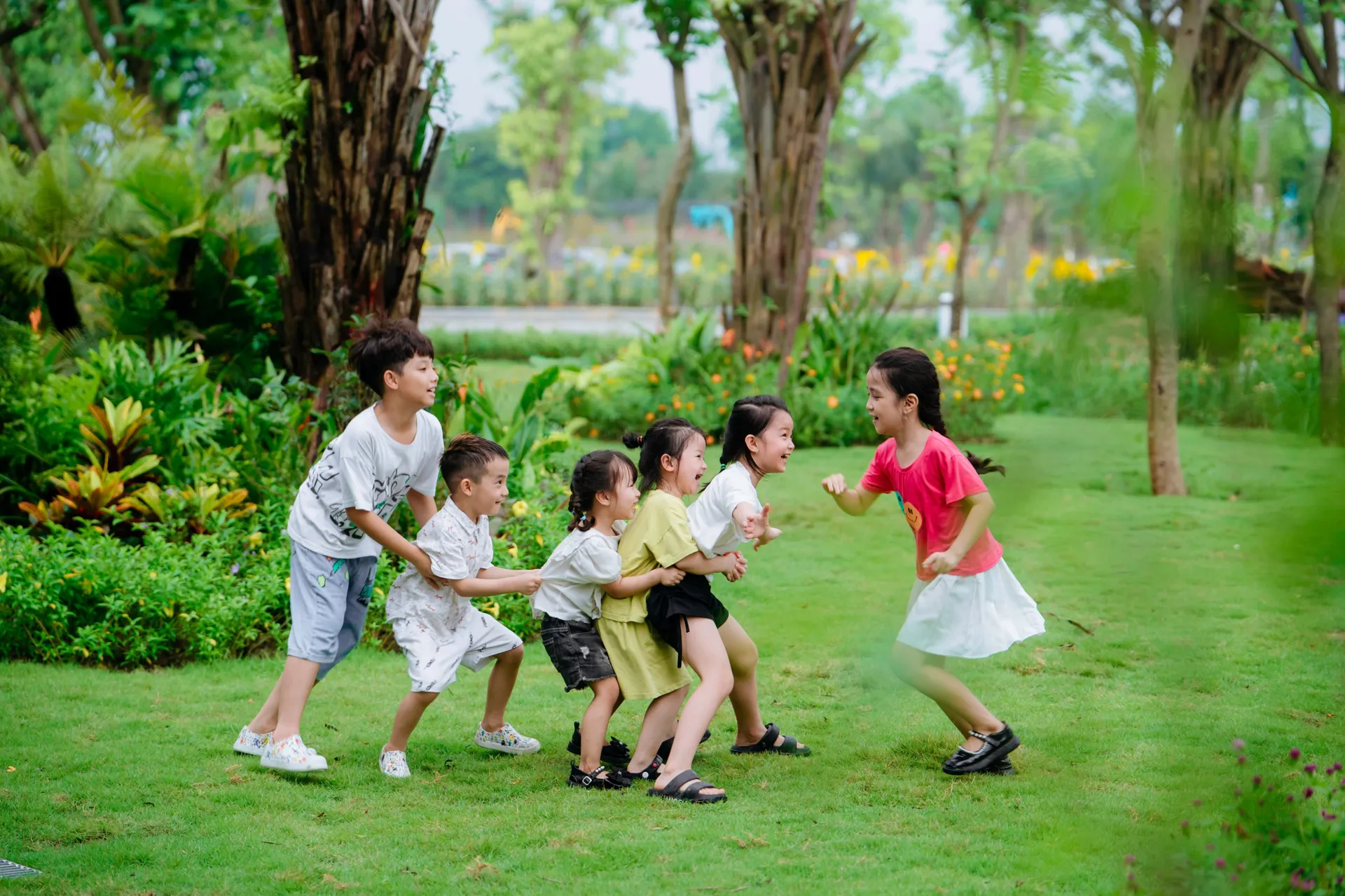 Hình ảnh 4