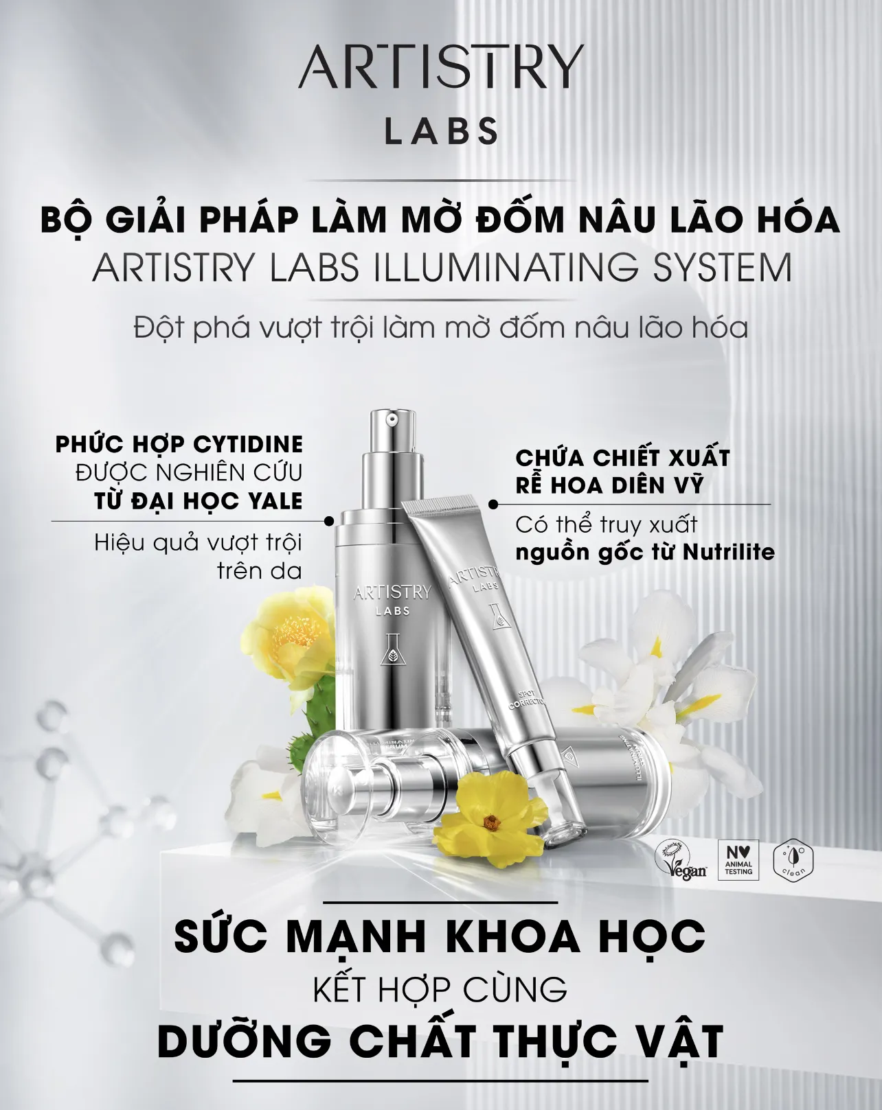 Hình ảnh 1