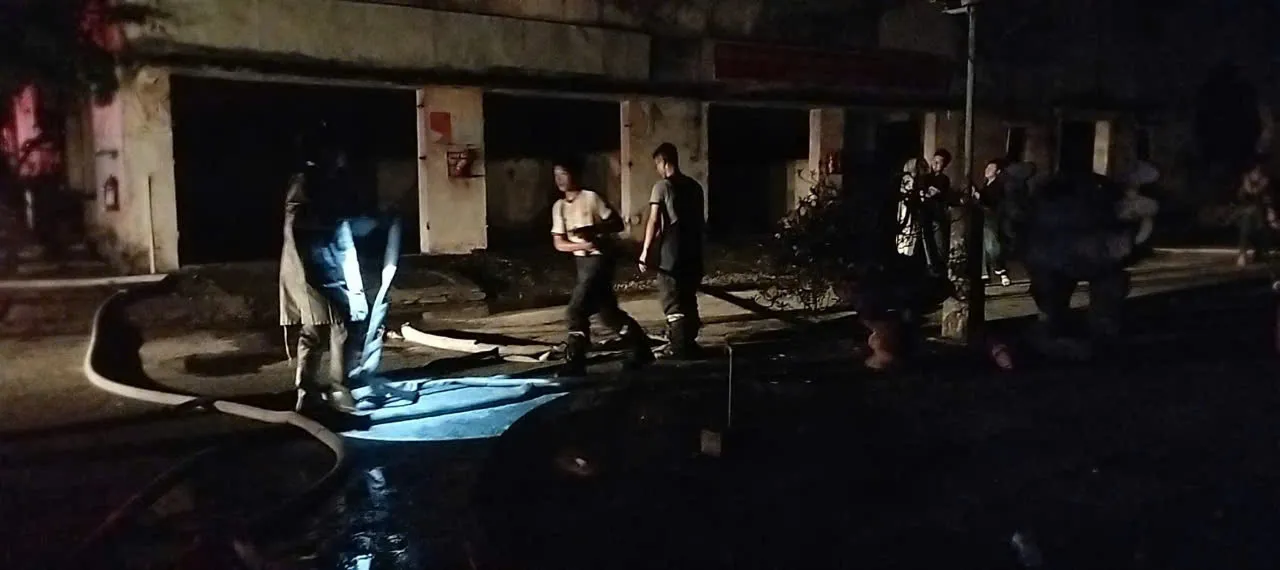 Hình ảnh 2