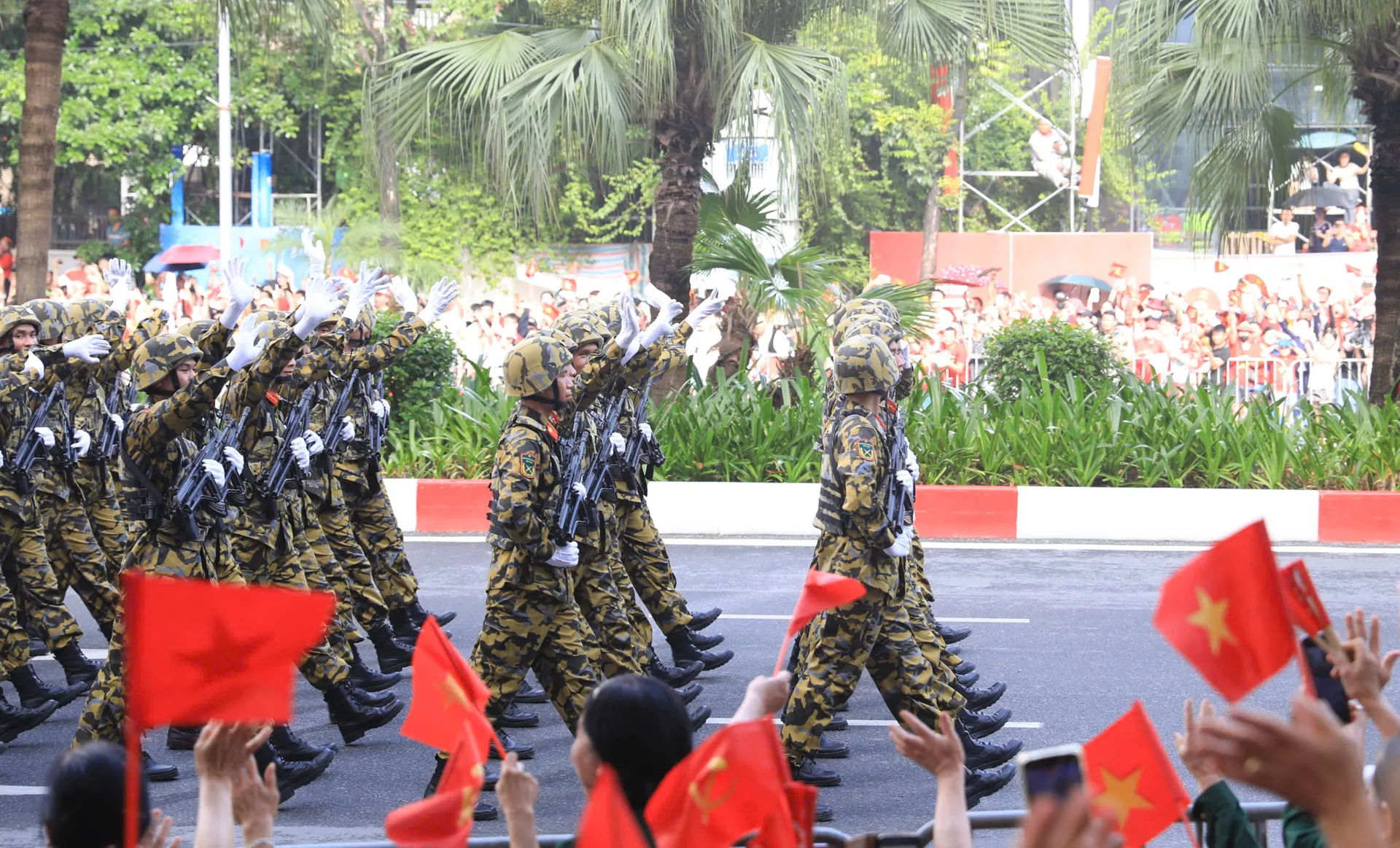 Hình ảnh 23