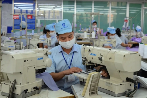 5 nhóm thông tin chính được thu thập trong tổng điều tra kinh tế từ ngày 5/1/2026
