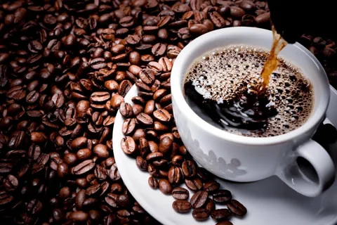 Giá cà phê hôm nay 1/2/2026: Arabica nối dài đà giảm kéo theo Robusta