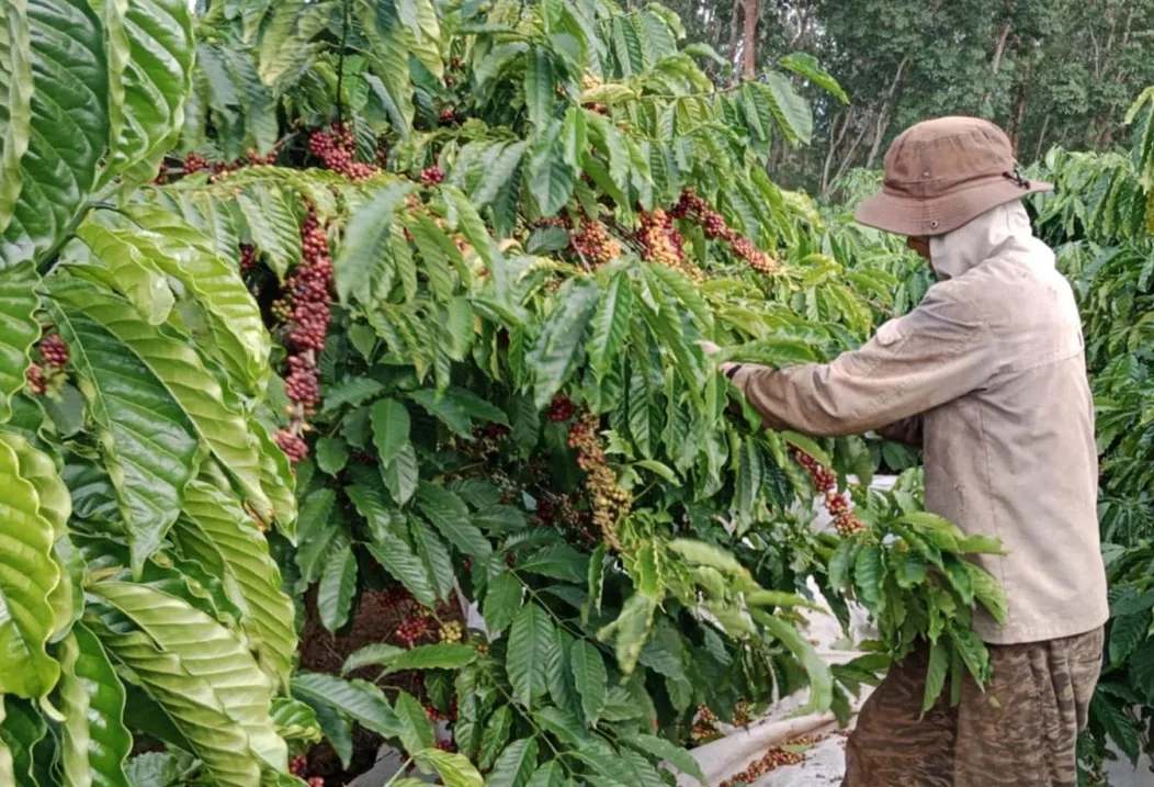 Hình ảnh 1