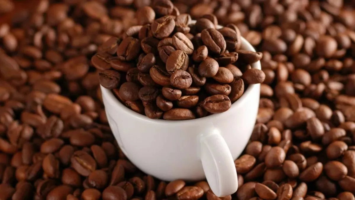 Hình ảnh 1