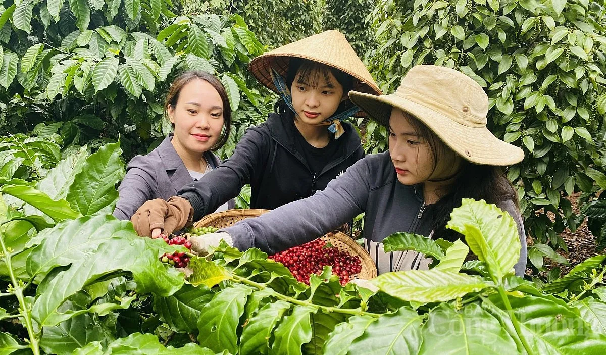 Hình ảnh 1