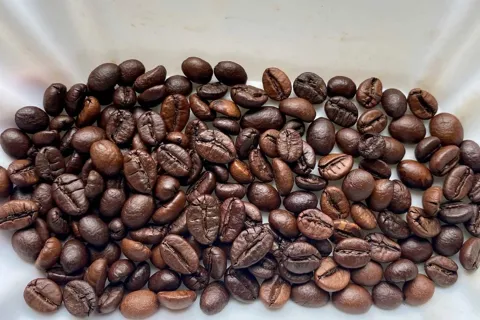 Giá cà phê hôm nay 20/1/2026: đồng USD suy yếu giúp Robusta duy trì đà tăng