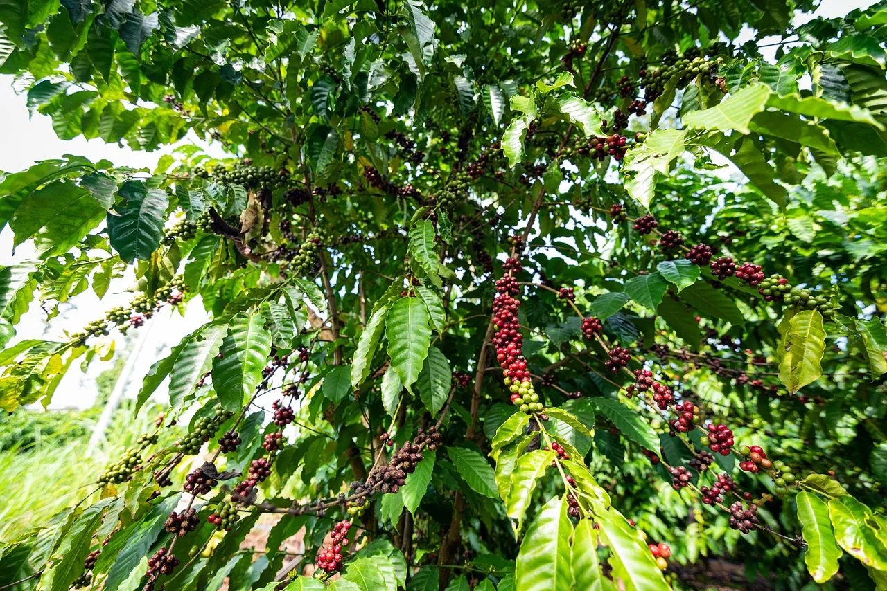 Hình ảnh 1