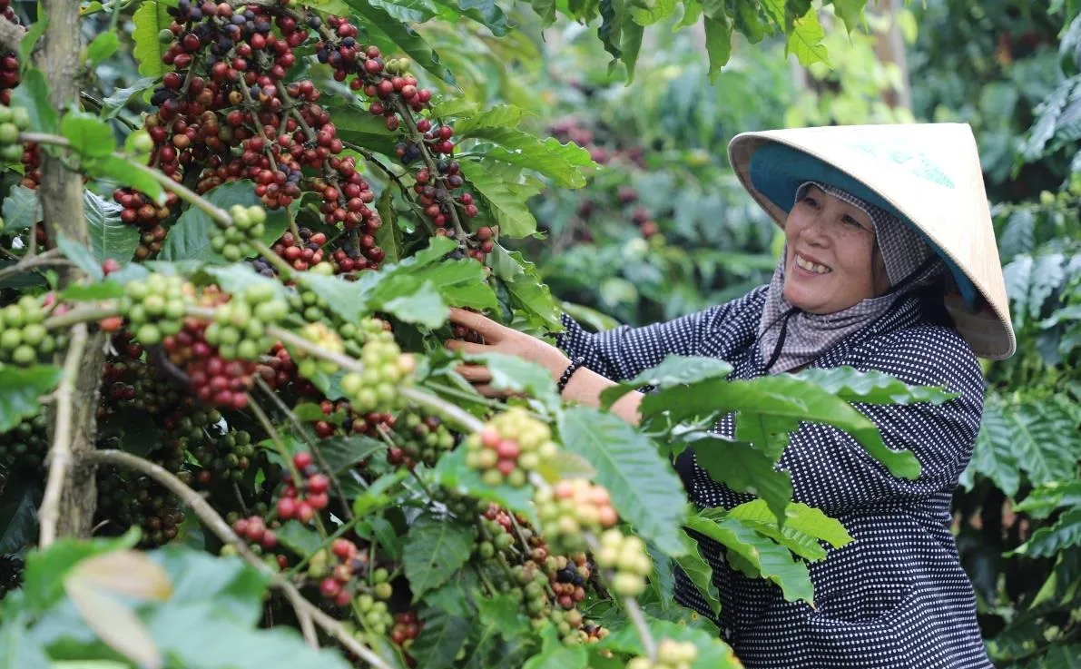 Hình ảnh 1