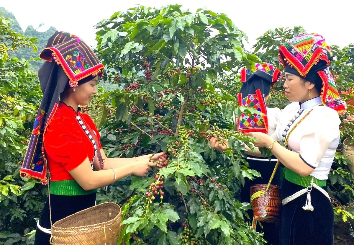 Hình ảnh 1