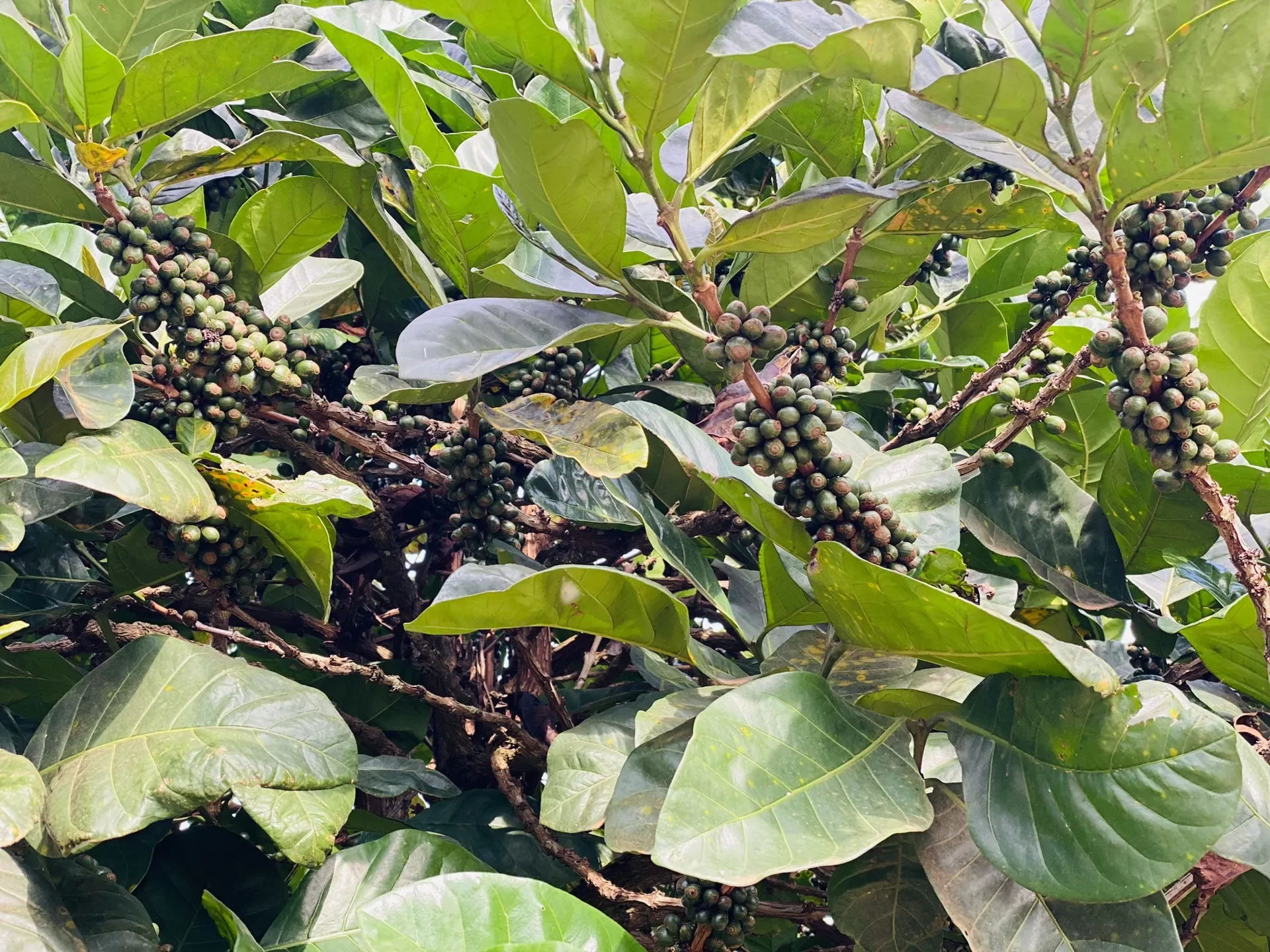 Hình ảnh 1