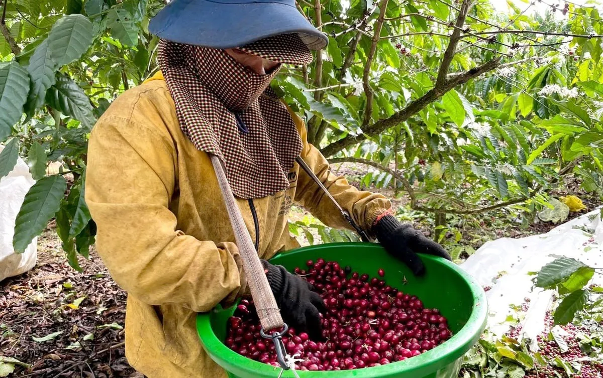 Hình ảnh 1