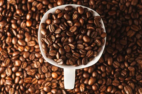 Giá cà phê hôm nay 9/2/2026: cà phê trong nước mất 5.000 - 6.000 đồng/kg trong 1 tuần