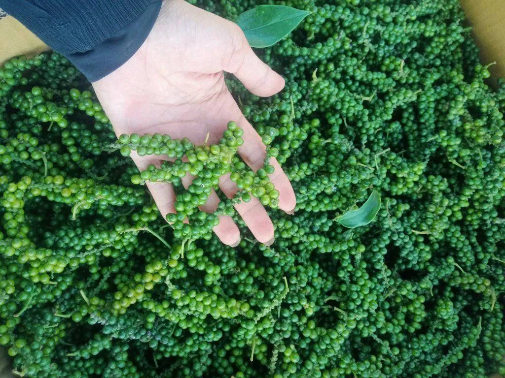 Hình ảnh 1