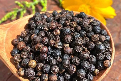 Giá tiêu hôm nay 11/11/2025: ngược chiều các nước, giá tiêu nội địa Việt Nam tăng đầu tháng 11
