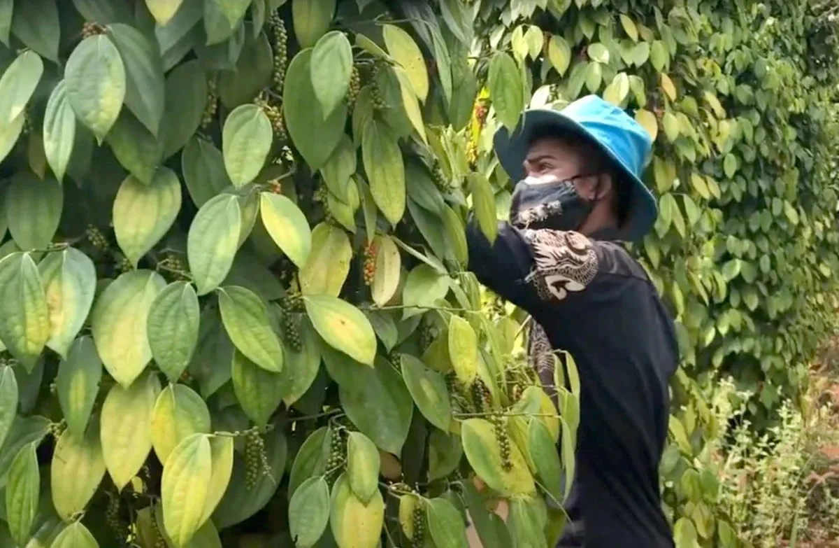 Hình ảnh 1