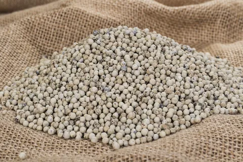 Giá tiêu hôm nay 16/12/2025: thị trường mất mốc 150.000 đồng/kg