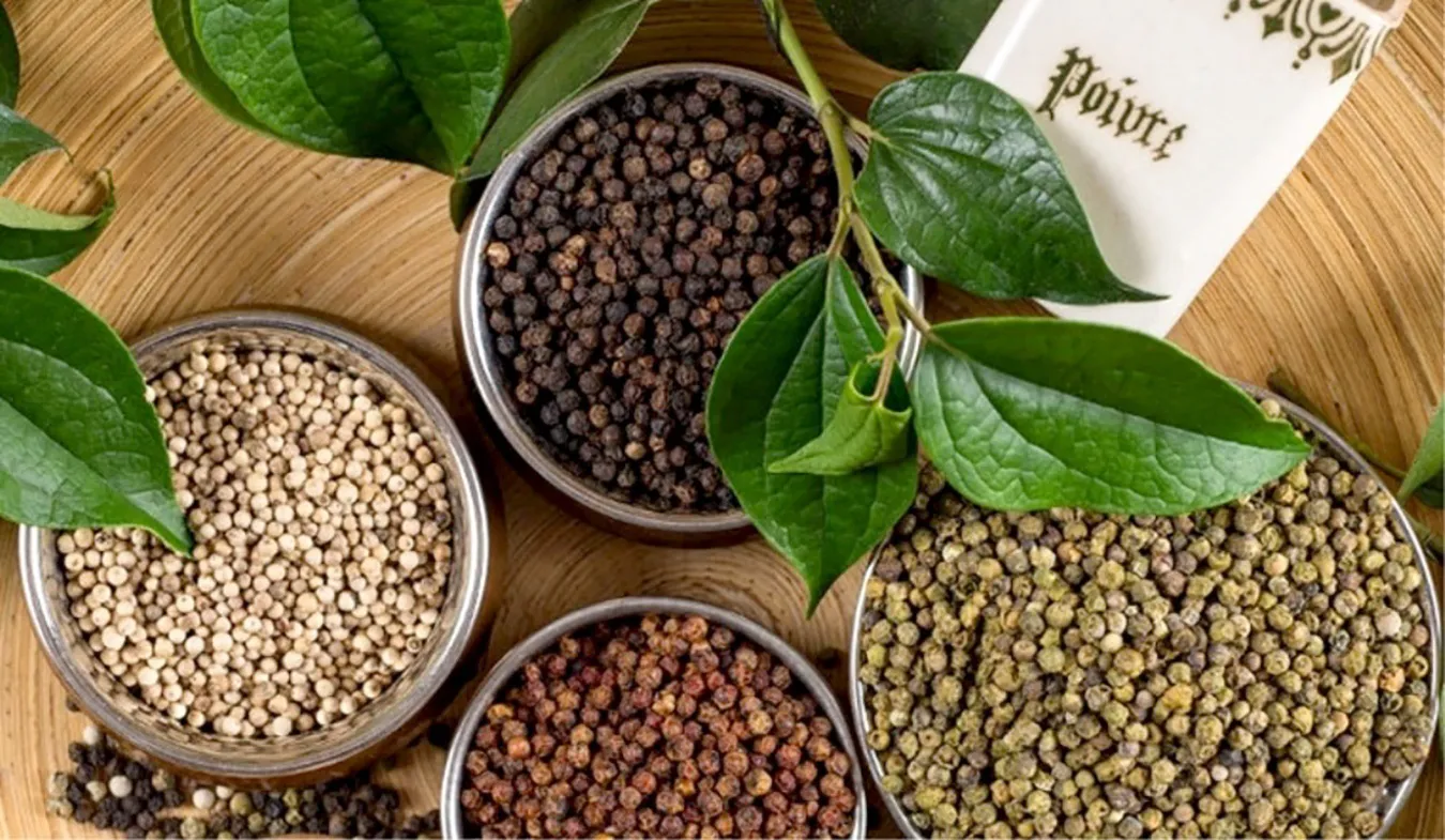 Giá tiêu hôm nay 17/1/2026: 3 ngày giảm liên tiếp đưa giá tiêu trong nước về dưới 150.000 đồng/kg