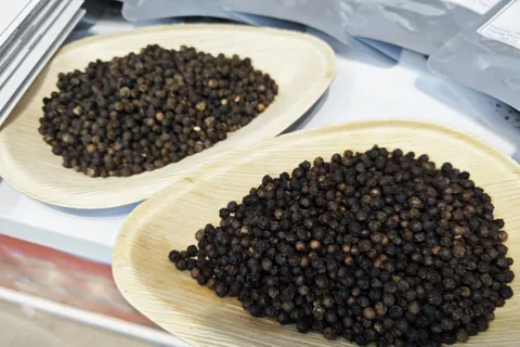 Giá tiêu hôm nay 2/10/2025: liên tiếp giảm ngay đầu tháng khi lực bán thanh lý tăng