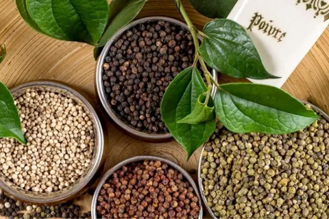 Giá tiêu hôm nay 23/1/2026: tăng trở lại, Bà Rịa thêm 1.000 đồng/kg gần chạm mốc 150.000 đồng/kg