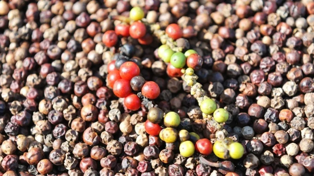 Hình ảnh 1