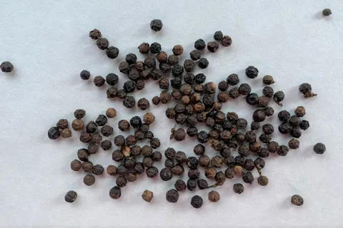 Giá tiêu hôm nay 4/2/2026: giá tiêu trong nước giảm 1.000 đồng/kg khi đồng USD mạnh trở lại